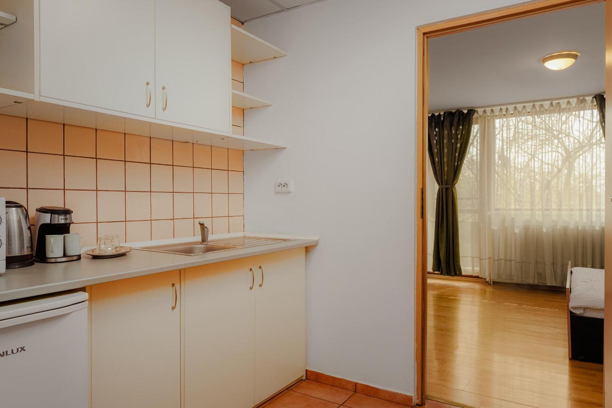 Ferienwohnung Business Transit Săftica Exterior foto